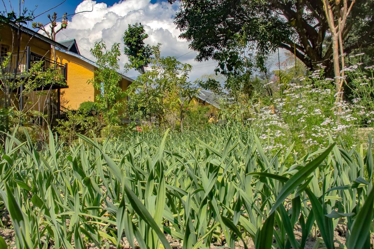Prakriti Aalay - Riverside Mountain View Boutique Eco Resort Dharamszala Kültér fotó