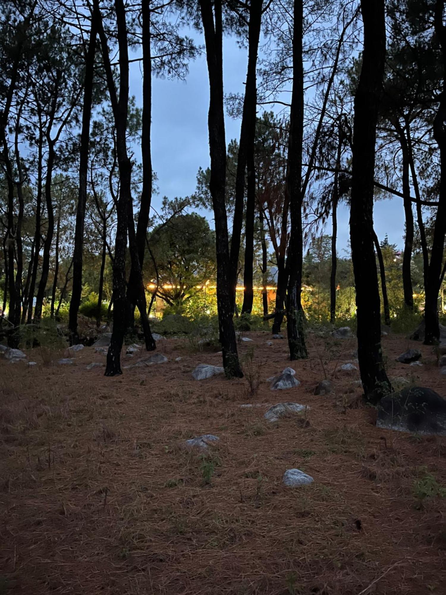 Prakriti Aalay - Riverside Mountain View Boutique Eco Resort Dharamszala Kültér fotó