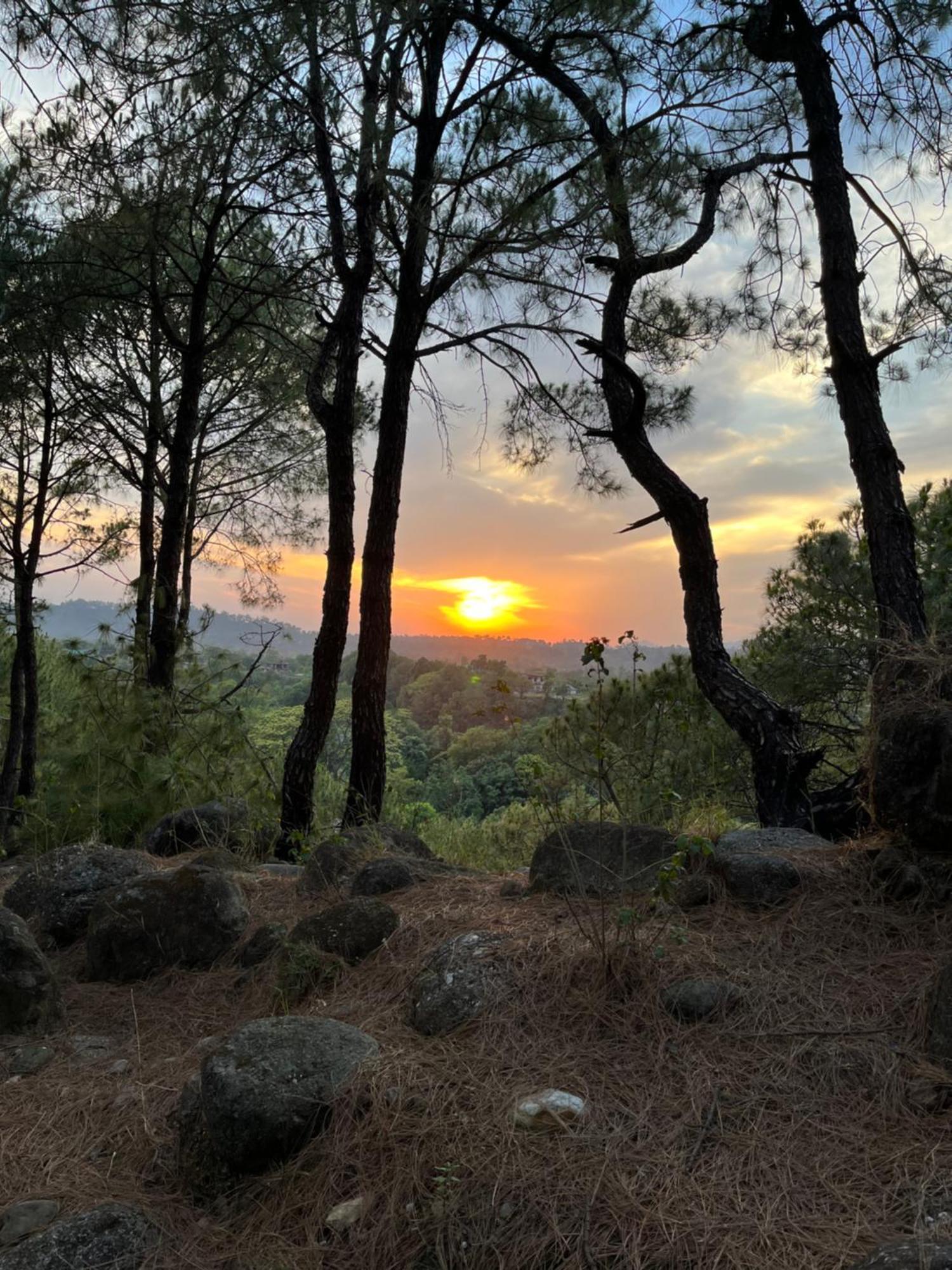 Prakriti Aalay - Riverside Mountain View Boutique Eco Resort Dharamszala Kültér fotó